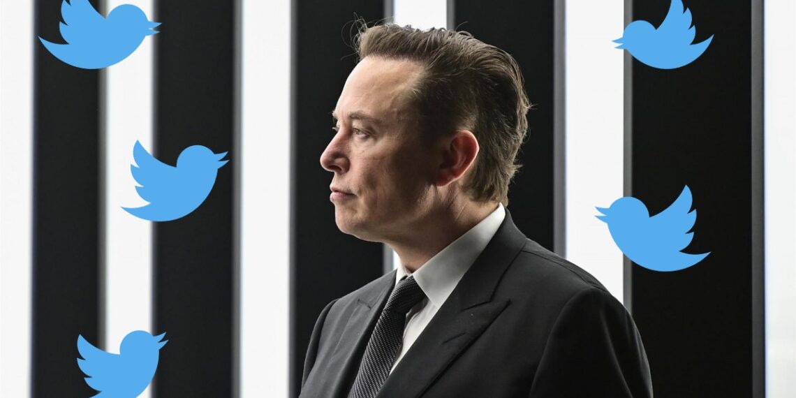 Elon Musk detiene el proceso de compra de Twitter