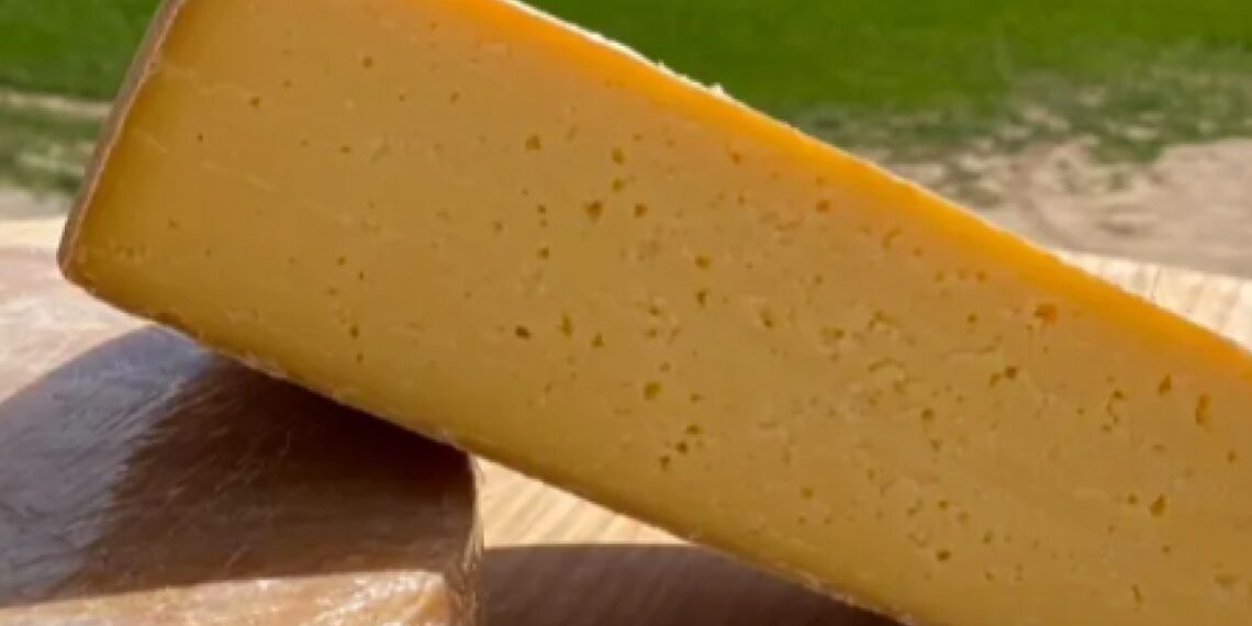 ​El mejor queso curado de vaca del Estado se hace en Cataluña